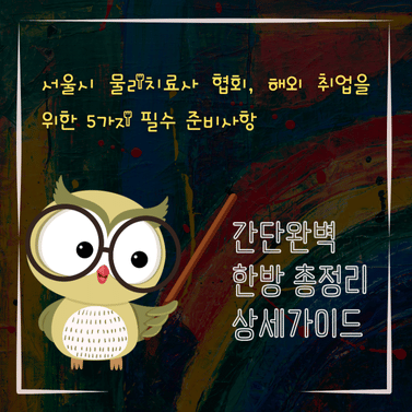 V2MID4295 서울시 물리치료사 협회 해외 취업을 위한 5가지 필수 준비사항