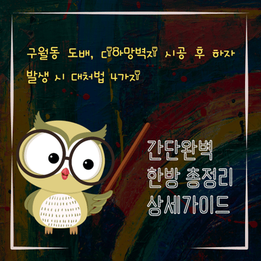 V2MID4985 구월동 도배 디아망벽지 시공 후 하자 발생 시 대처법 4가지